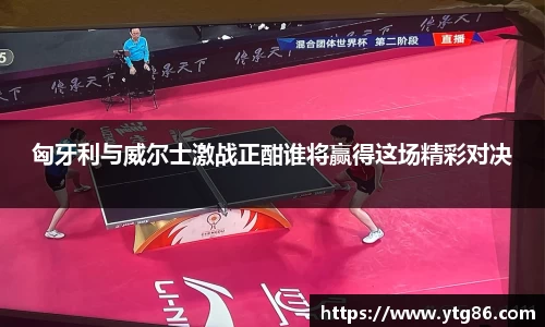 匈牙利与威尔士激战正酣谁将赢得这场精彩对决